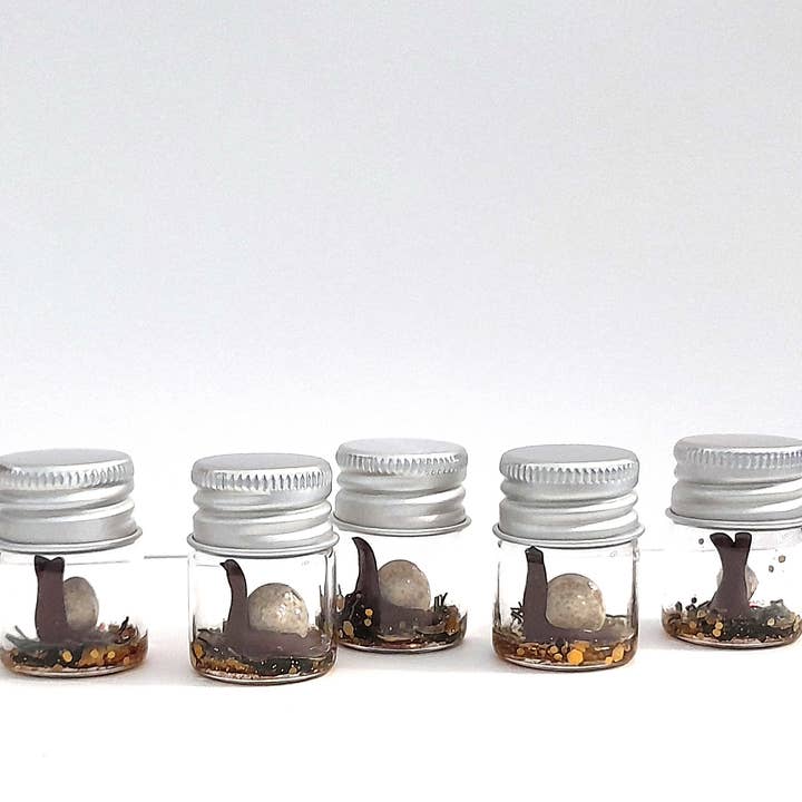 SUPERAWWWSOME - Wholesale Gag Gift/Novelty Gift - Snail Specimen Bottle, Dollhouse Miniature, nature gift jar2