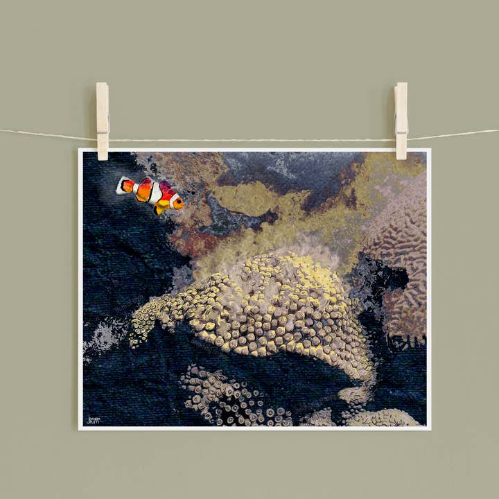 Great Star Coral - print for wholesale by Found & Rewound