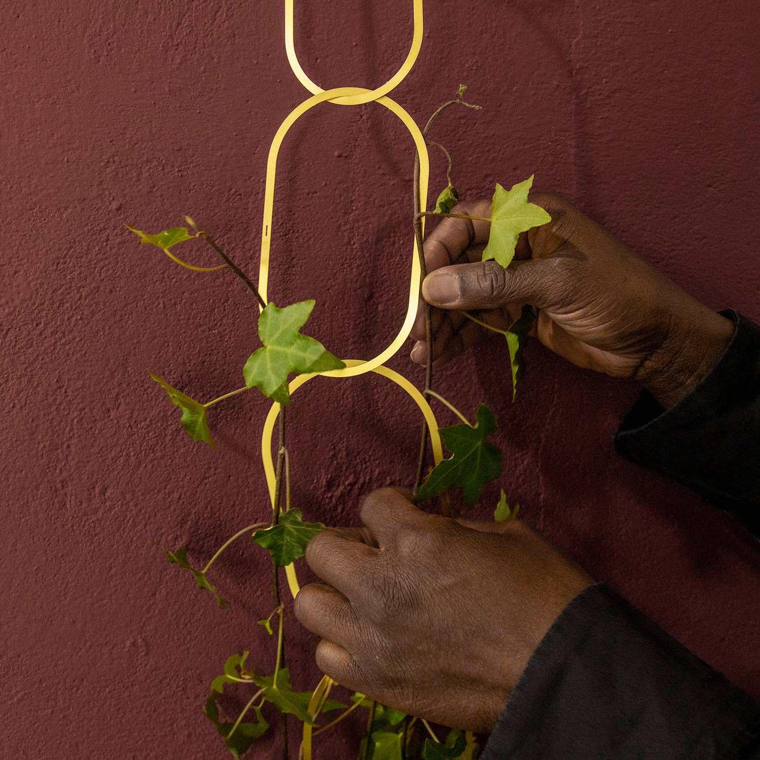 Botanopia - gifts , decor and cards for plant lovers - Wholesale Trellis - Gold Brass Chain - Plant Support for climbing plants6