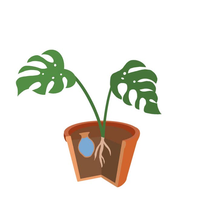 3 Oyas till begrava storlek S Grön för wholesale av Alppos