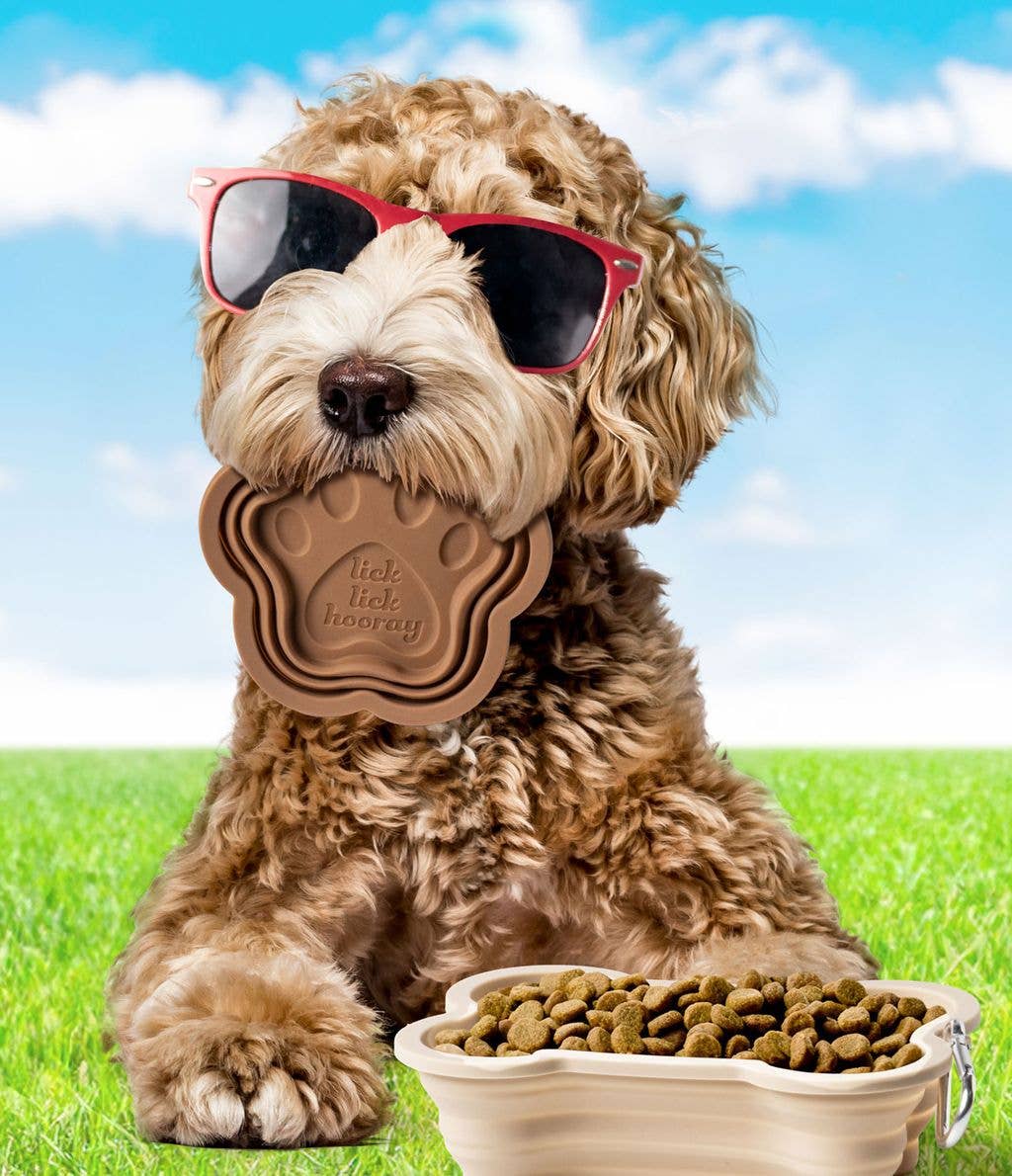 DM Merchandising – Engroshandel Madskål - Kat/hund – Modern Monkey sWAG Sammenklappelig Hundeskål6