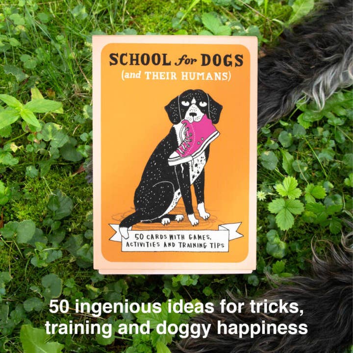 Abrams - Wholesale Card Game - School for Dogs (and Their Humans)3