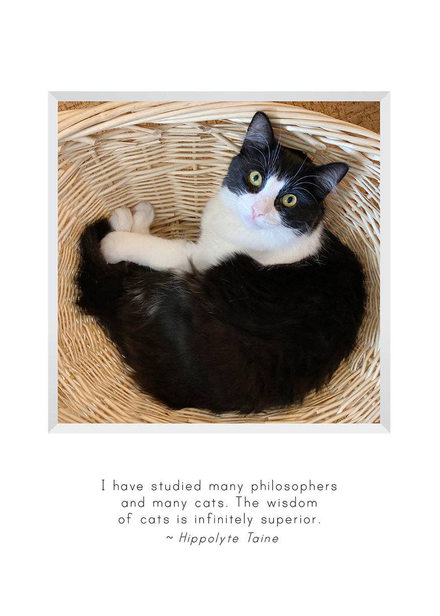 Stonehenge Designs - Vente Cartes d'anniversaire - B725 - Panier0