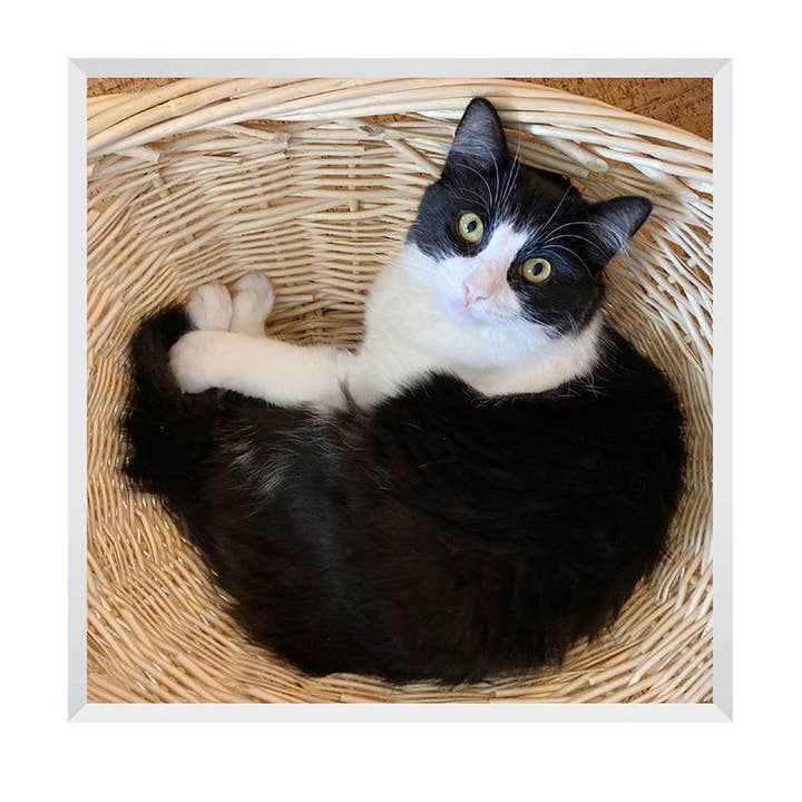 Stonehenge Designs – wholesale Birthday card – B725 - Basketful0