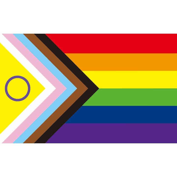 Intersex Progress Pride (gay pride) 5'x3' voor wholesale door Worldwide Flags Ltd