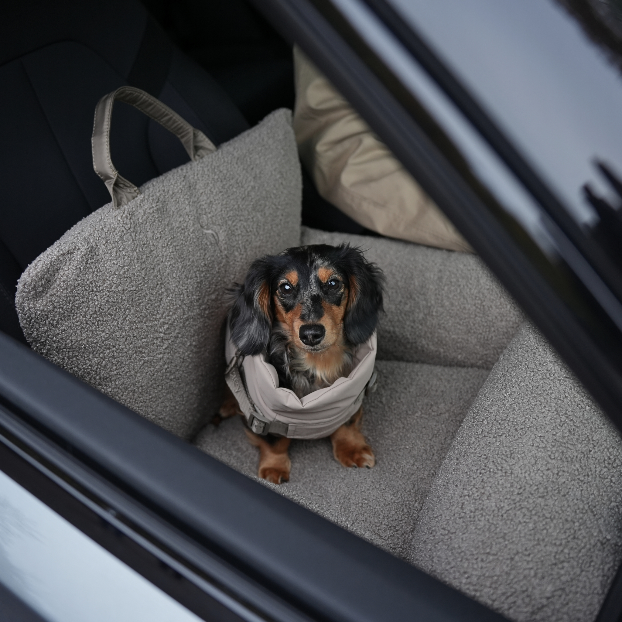Staey - Wholesale Pet Carrier - Dog - Lara Car Seat | Teddy 2.01