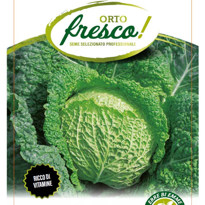 Sementi & Barbatelle - Wholesale Plant Seeds - Savoy Cabbage of Asti Augustano