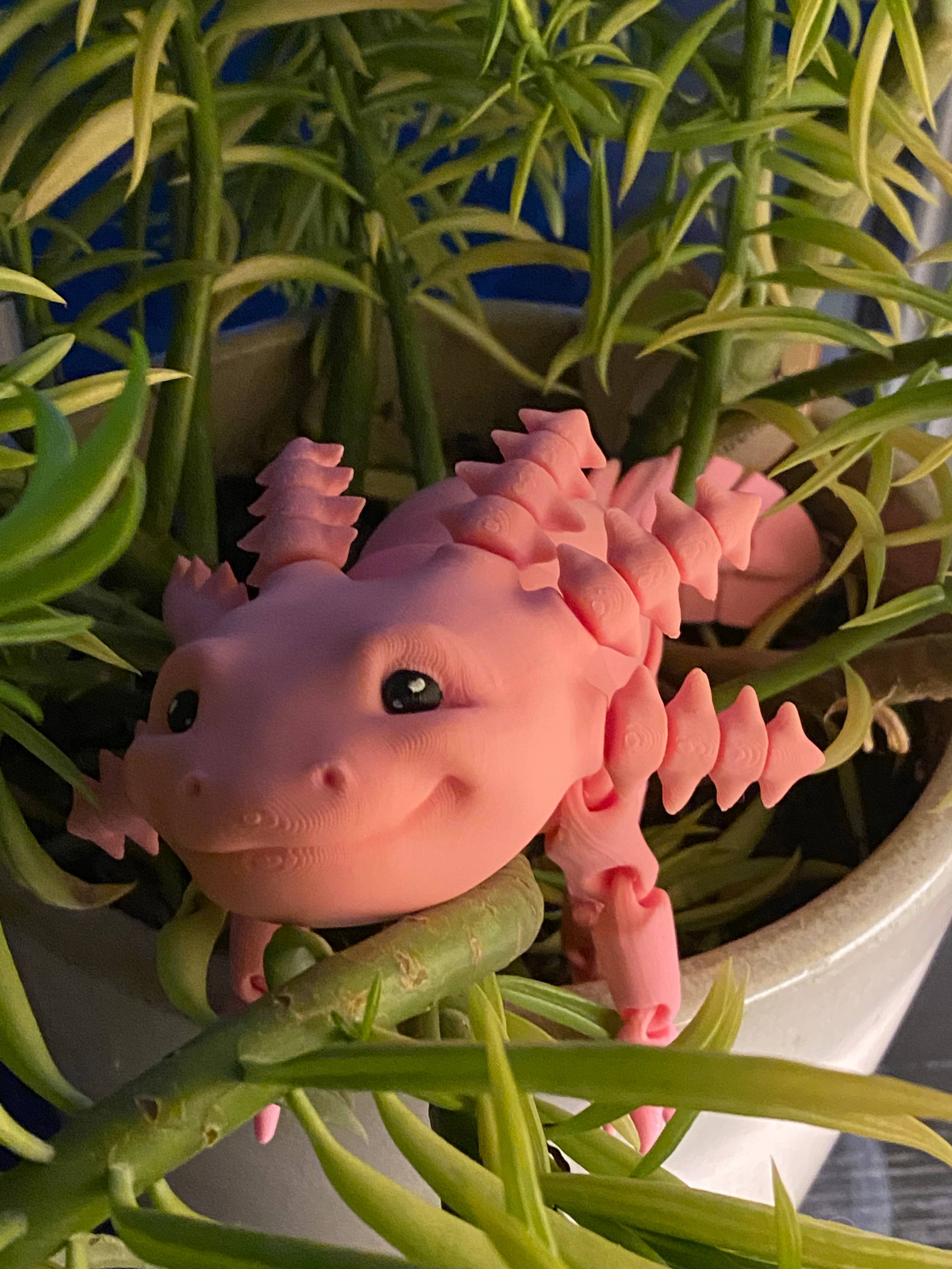 Axolotyl - Articulated for wholesale by Plasonite