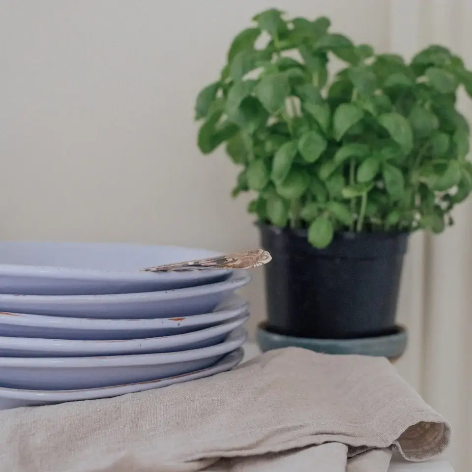 CASAgent - Wholesale Serving Plate - Pasta plate 2510