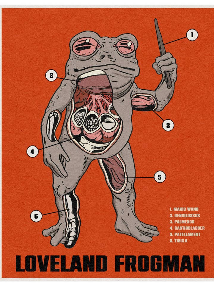Loveland Frogman Anatomy Print for wholesale by Parade of Ghouls