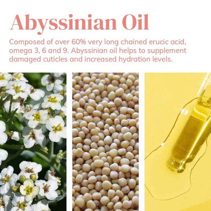 Abyssian - Vendita all'ingrosso Shampoo - Shampoo Idratazione Intensa - Per Capelli Secchi, -93% Caduta Capelli5