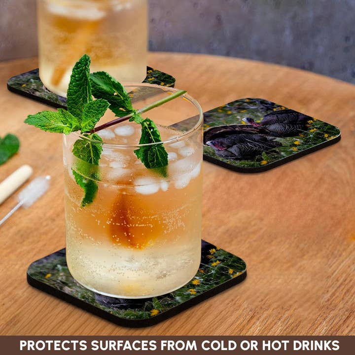 3dRose - Wholesale Coasters - 3dRose, Tom turkeys in breeding plumage in Great Basin NP, Nevada, USA, Coaster9