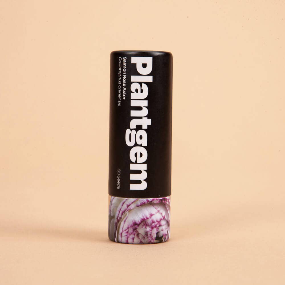 Plantgem - Wholesale Plant Seeds - Misty Lavender Larkspur - 100 Seeds0