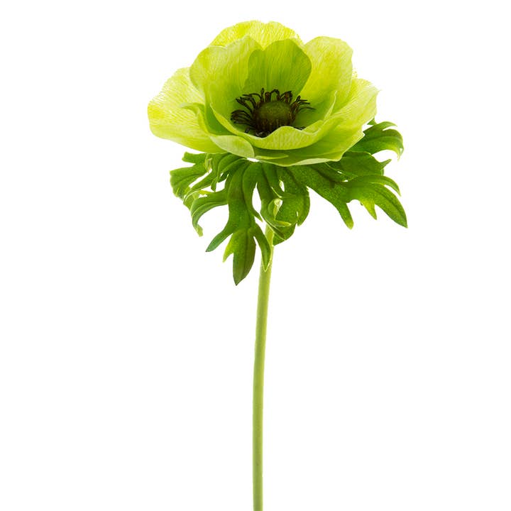 American Best - Wholesale Artificial Flowers - 22" POPPY ANEMONE STEM