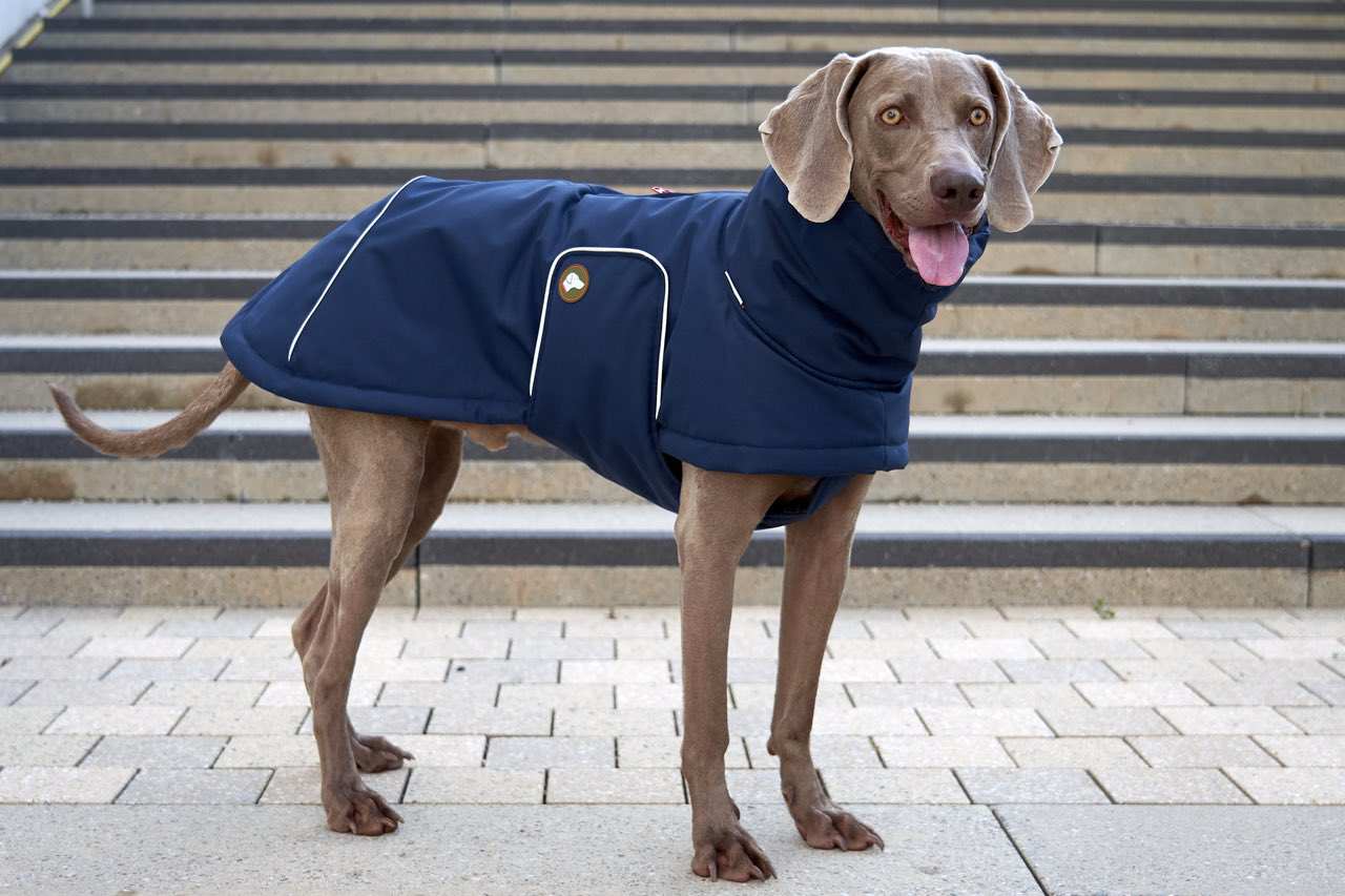 Marina de medianoche Abrigo de invierno para perros Oskar en azul marino de venta al por mayor en Faire1