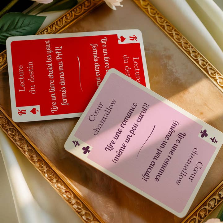 MaisonLulu.Fr - Wholesale Card Game - Poker reading, 56 cards to help you choose your next book, Game to be used alone or in a book club3