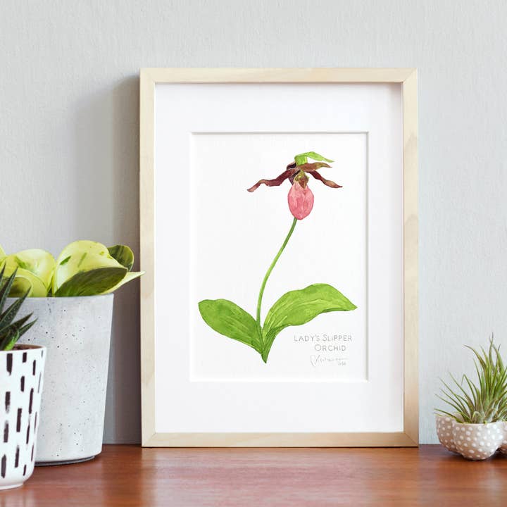 Frauenschuh-Orchidee Botanischer Druck Wald-Wildblume für den Großhandel von Studio Tuesday