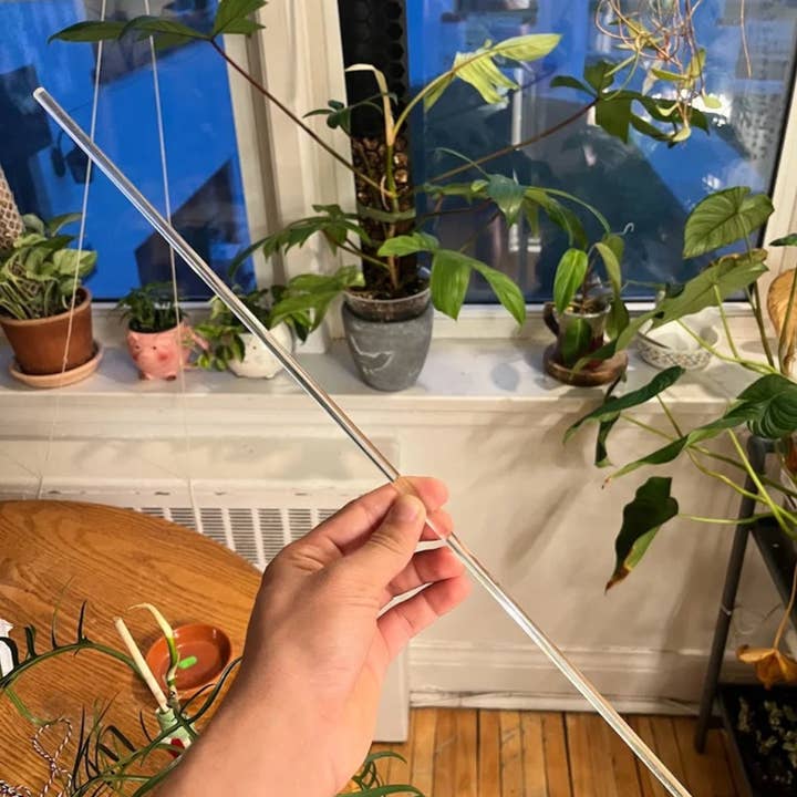 PlantBay - Wholesale Trellis - Straight Clear Trellis (Pack of 10)0