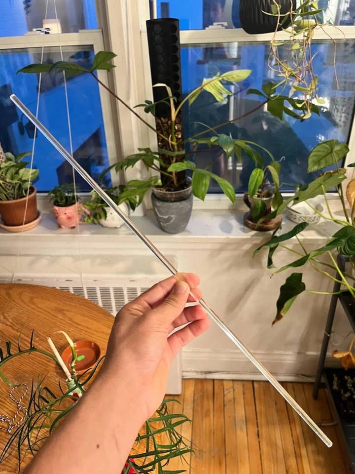 Straight Clear Trellis (Pack of 10) for wholesale by PlantBay