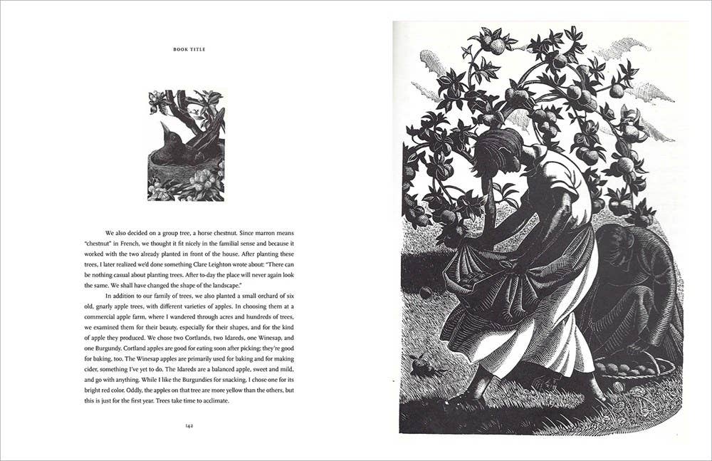 HarperCollins - Wholesale Home & Garden Book - Becoming a Gardener : Catie Marron2