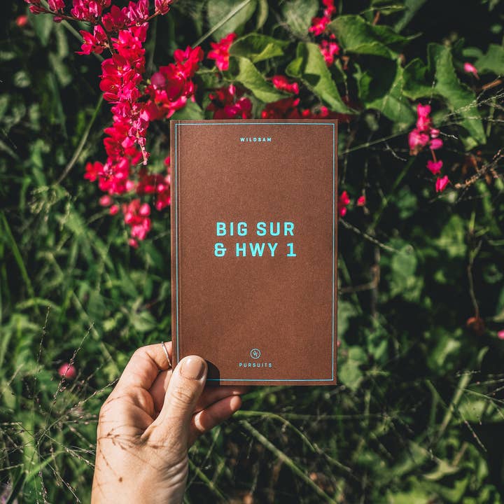 Wildsam Field Guides - Wholesale Nature & Outdoors - Big Sur & Highway 1 Field Guide3