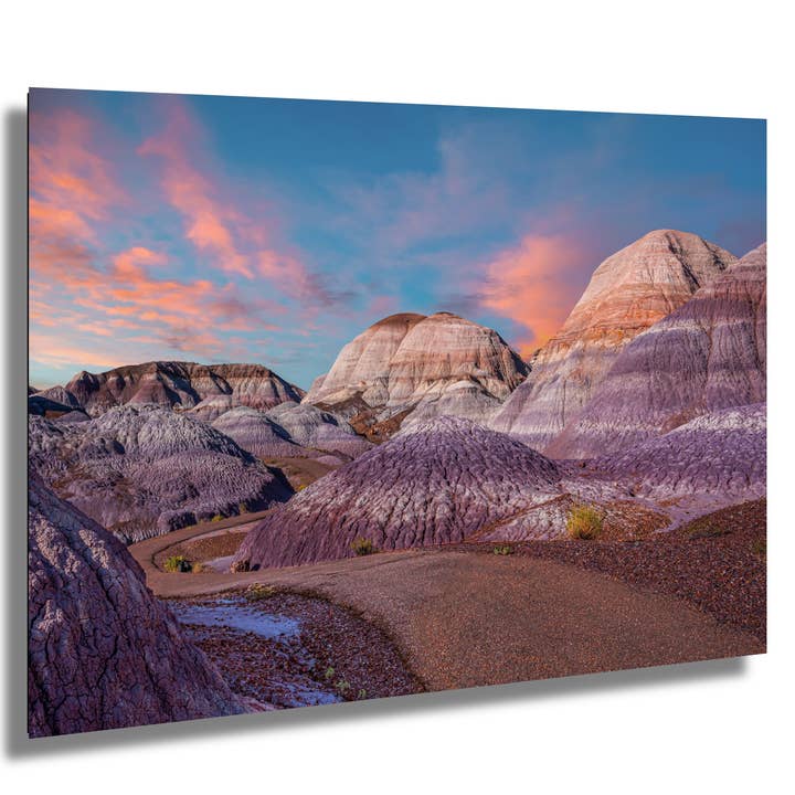 Nature's Ancient Relics: Petrified Forest National Park Arizona Wall Art Photography for wholesale by Images By Cheri