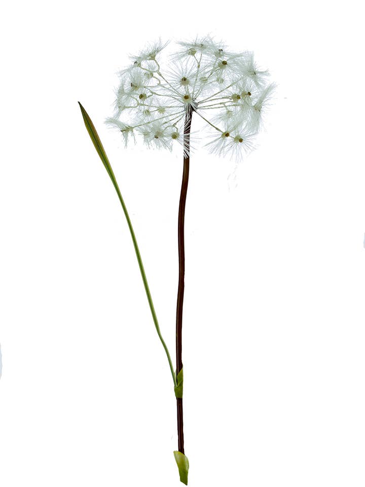 American Best - Vente Fleurs artificielles - PISSENLIT ROND 36" M0