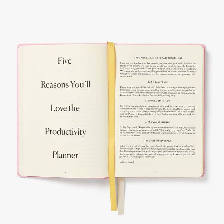 Intelligent Change - Wholesale Planner - Productivity Planner Pink Time Tracking, Goals, Self-Care 7