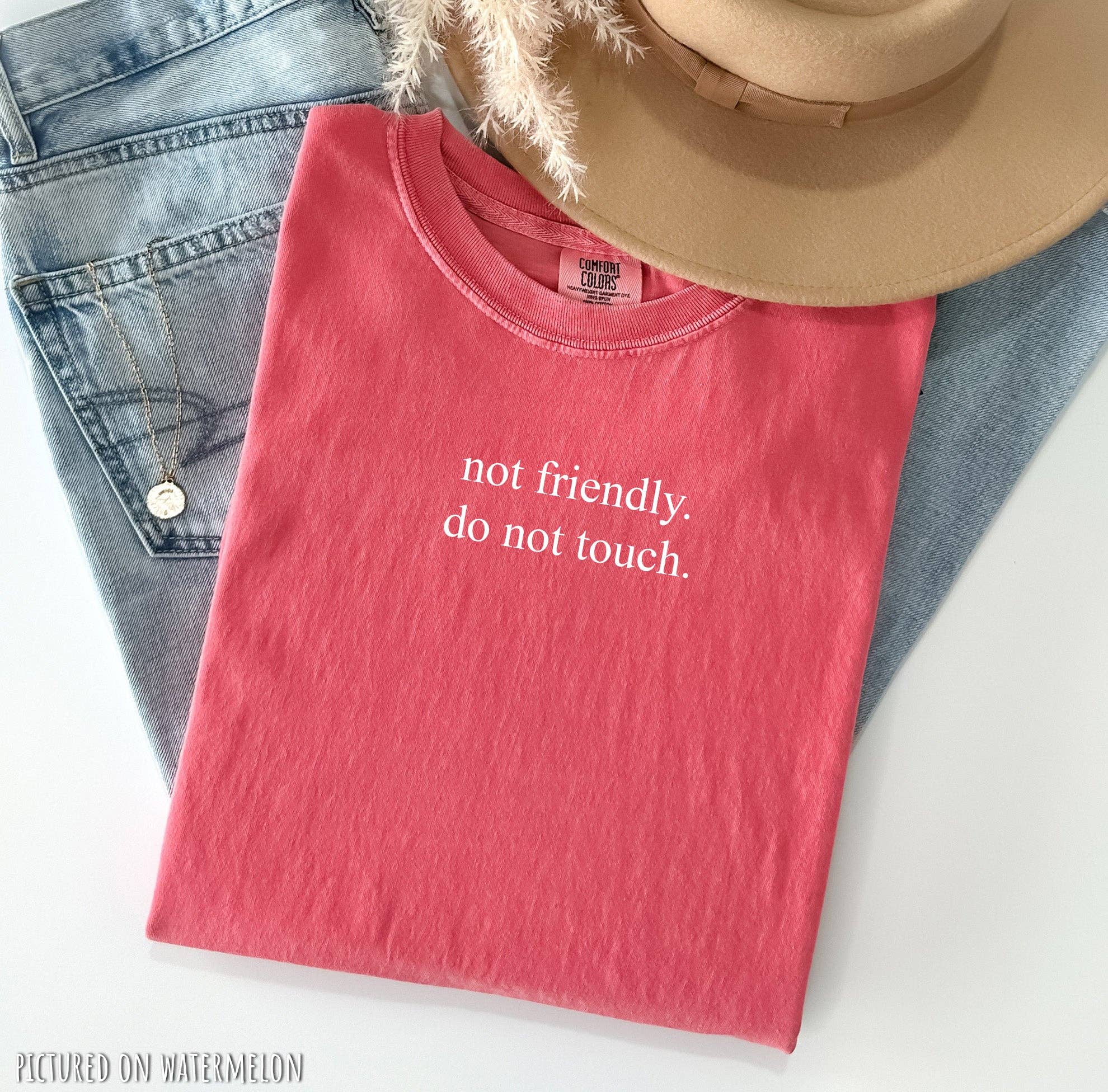 Blue Giraffe Inc - Wholesale Shirt - Women's - Not Friendly, Do Not Touch Minimalist T-Shirt6