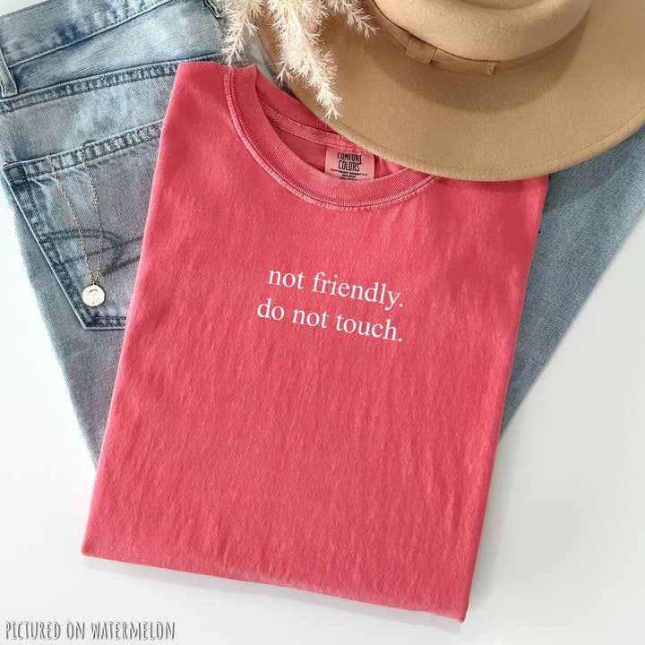 Blue Giraffe Inc - Wholesale Shirt - Women's - Not Friendly, Do Not Touch Minimalist T-Shirt6