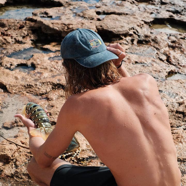 Pallion Point - Wholesale Baseball Cap - Unisex - Tropical Rock Lobster Fish Lid | Cotton Dad Cap in Stone