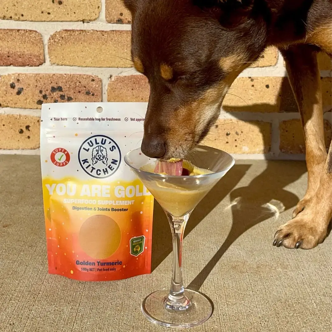 Rover Pet Products - Wholesale Pet food – Dog - You Are Gold - Digestion & Joints Booster Supp4