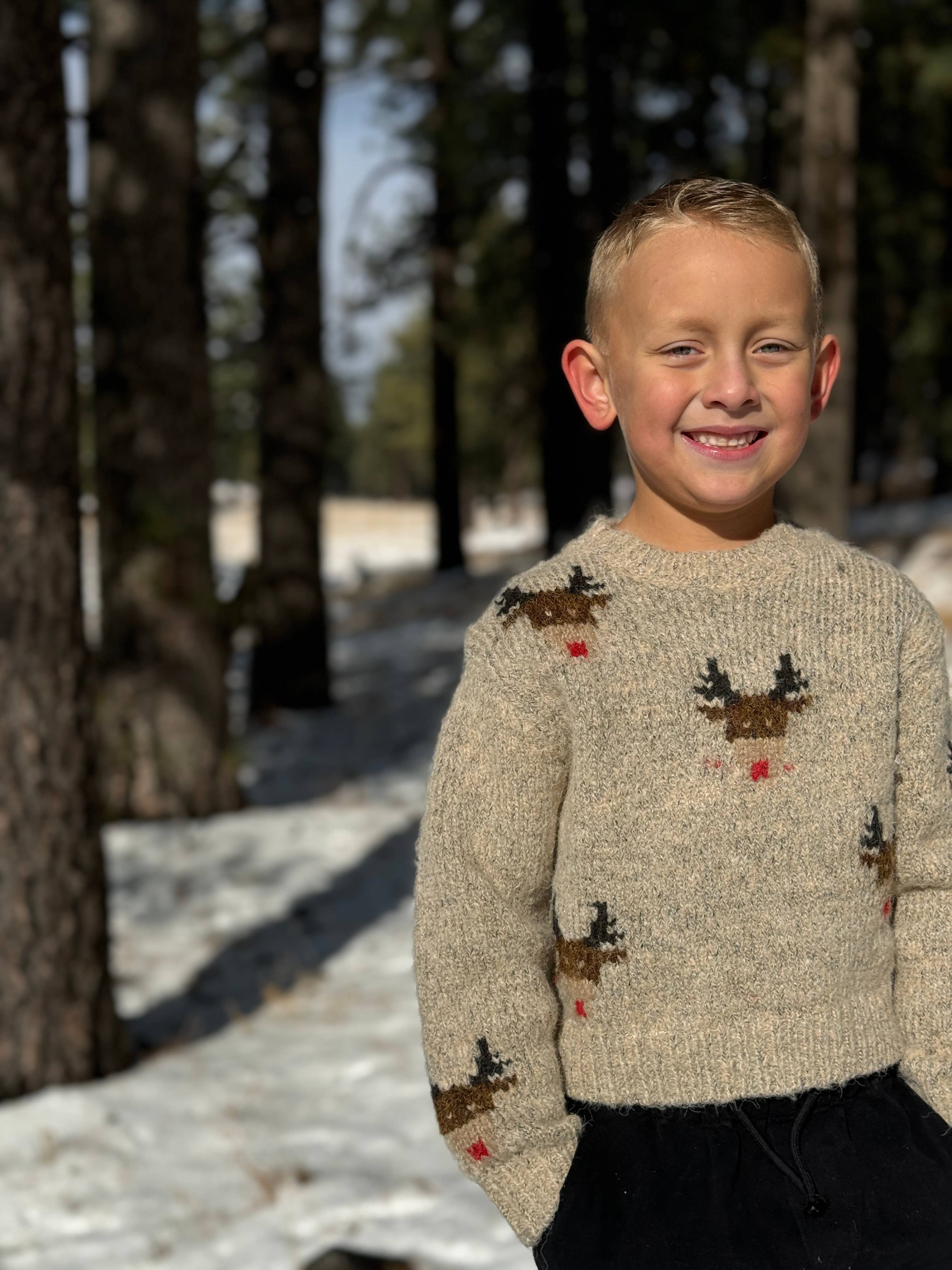 RUDY Sweater Beige reindeer for wholesale on Faire1