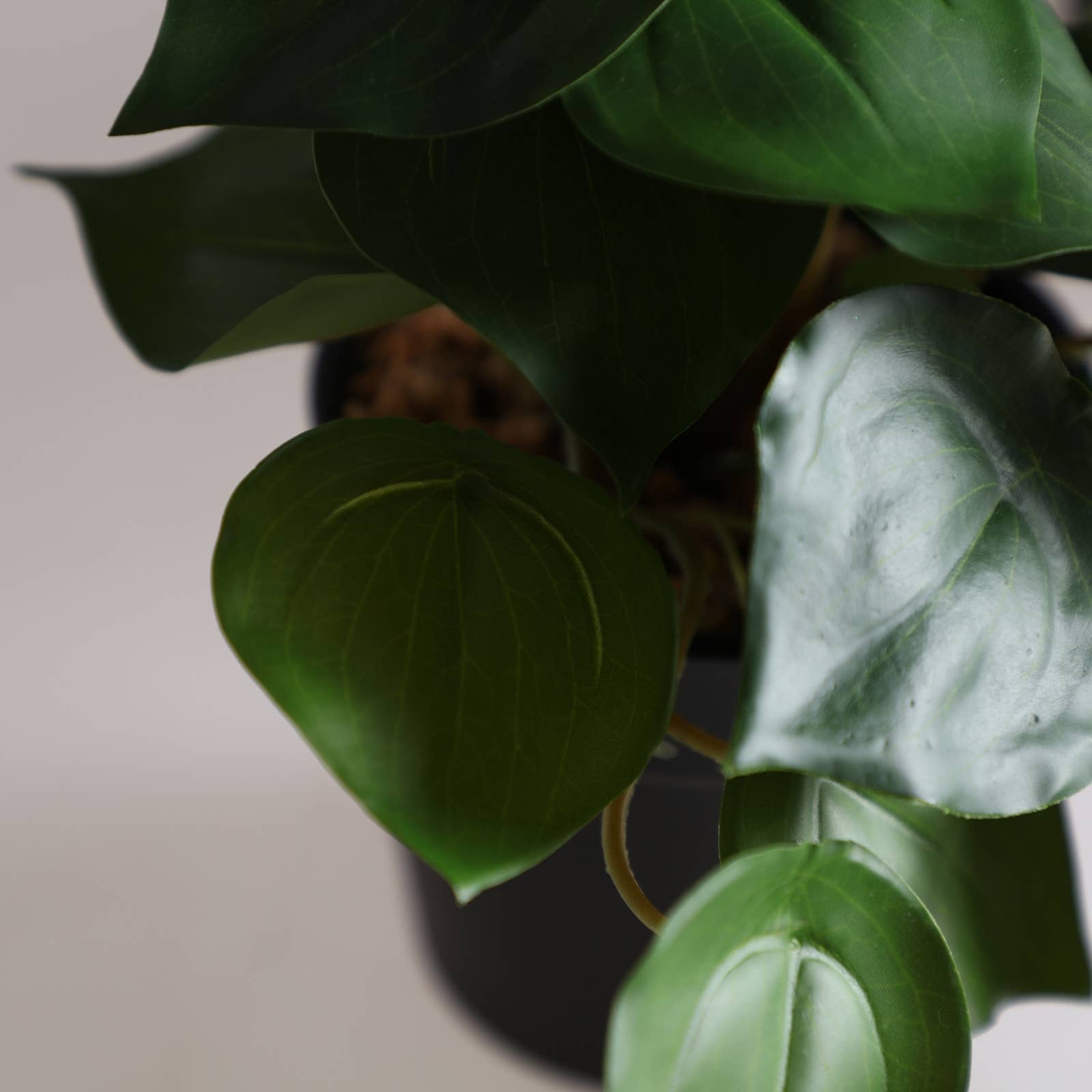 B&B - Wholesale Plant Pot - Assorted Plant 3, Made of Plastic, In Green Color, 9X9X18cm1