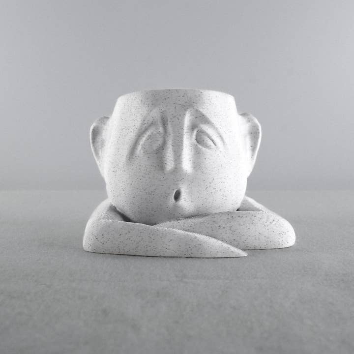 Rosebud Homegoods - Wholesale Plant Pot - Shady Air Head Planter, Moody Face Pot, Succulent Decor