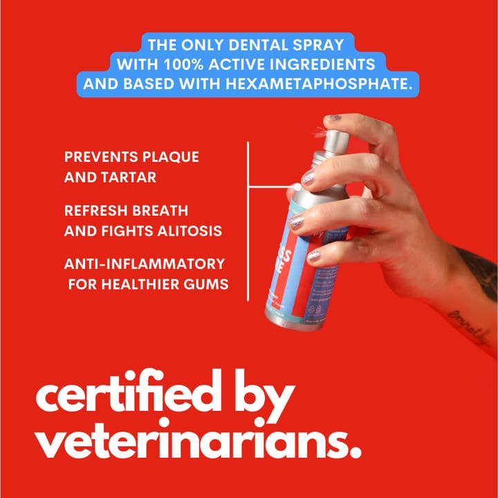 JAMPY - Wholesale Pet Toothpaste - Dog - Kiss Me - Natural Dental Spray to Fight Halitosis for Dogs