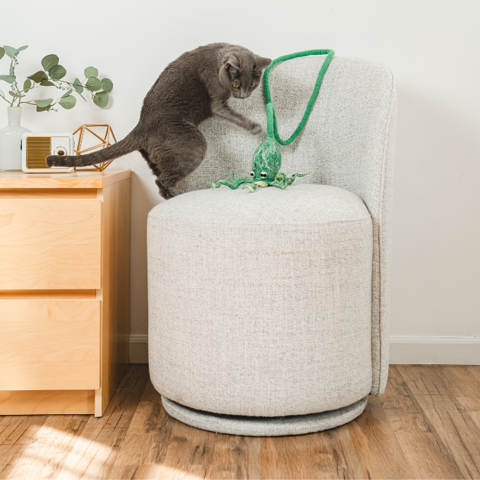 Cat in the Box LLC - Vente Jouet – chat - Jouet pieuvre en laine avec corde de 1,2 m - bleu, vert17