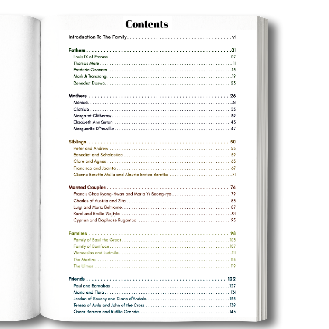 Catholic Sprouts LLC - Wholesale Religion Book - Catholic Saints for Families: Saintly Fathers, Mothers, Siblings, Couples, Families, and Friends1