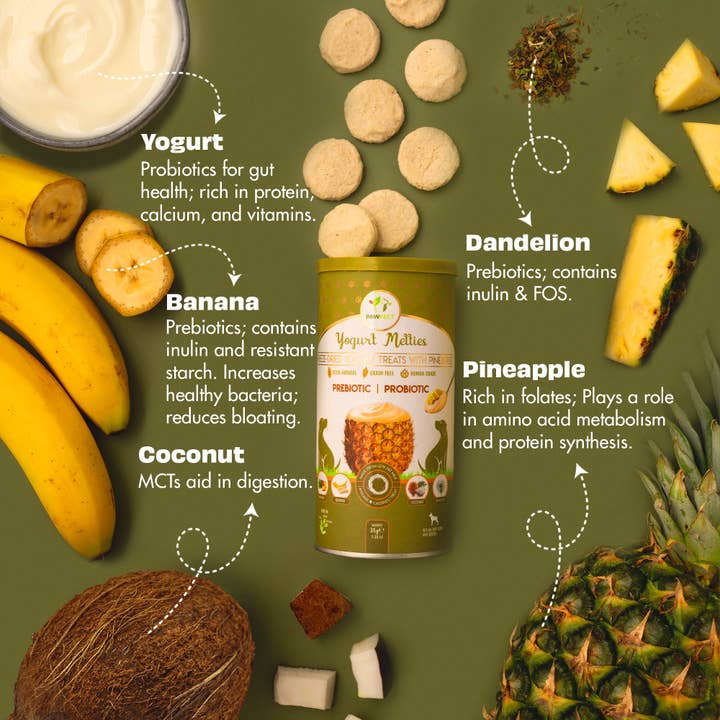 Pawfect Foods – wholesale Pet treats – Dog – Pawfect Yogurt Melties Prebiotic and Probiotic Dog Treats: Pineapple & Yogurt (38g/1.34oz)