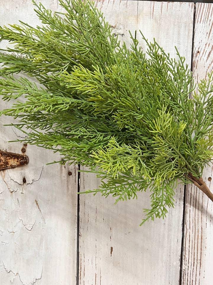 Long Stem Cedar Spray for wholesale by Wholesale Home Decor