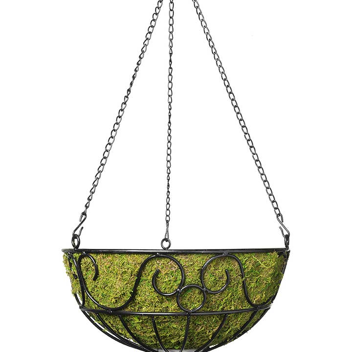 SuperMoss - Wholesale Hanging Planter - London Round Wire Hanging Basket