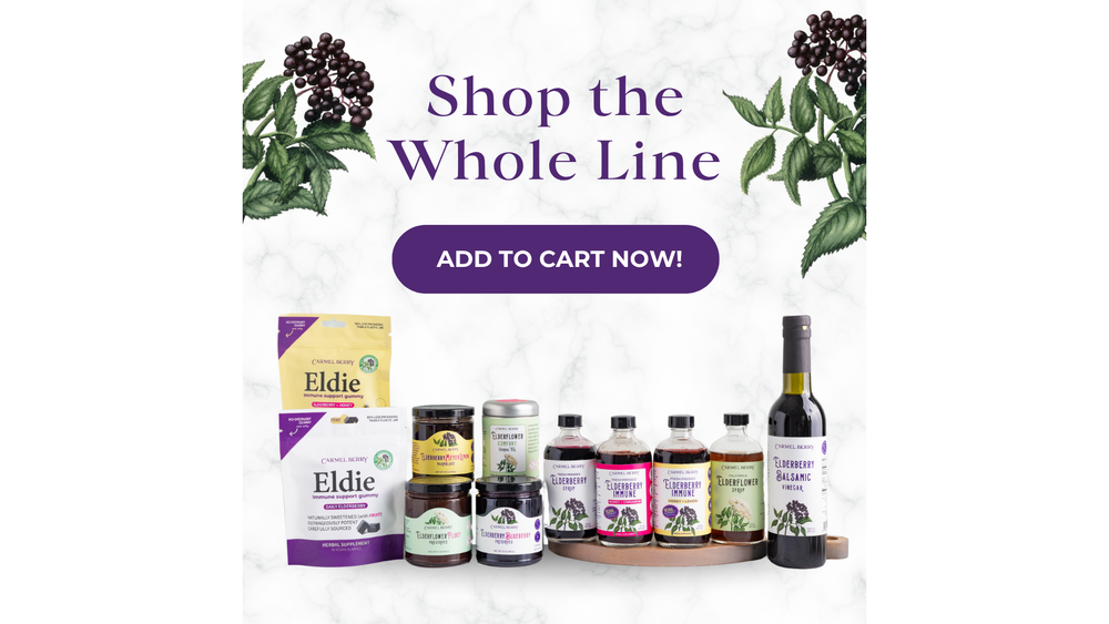 Carmel Berry Company - Wholesale Flavored Syrup - Elderberry Syrup | Immunity | Premium | Mocktail | USA | 4oz4