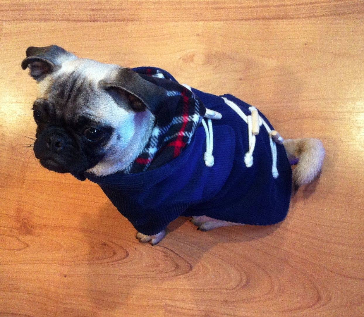 PetLondon - Wholesale Pet Coat - Dog - Corduroy Toggle Dog Coat Blue2