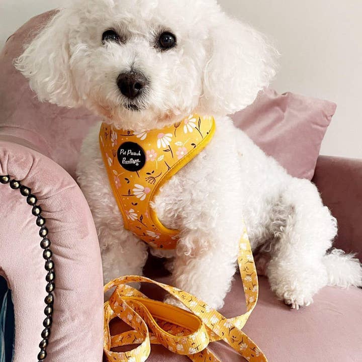 Pet Pooch Boutique - Vente Harnais – chien - Harnais pour chien Sunshine Daisy avec accessoire fleur optionnel5