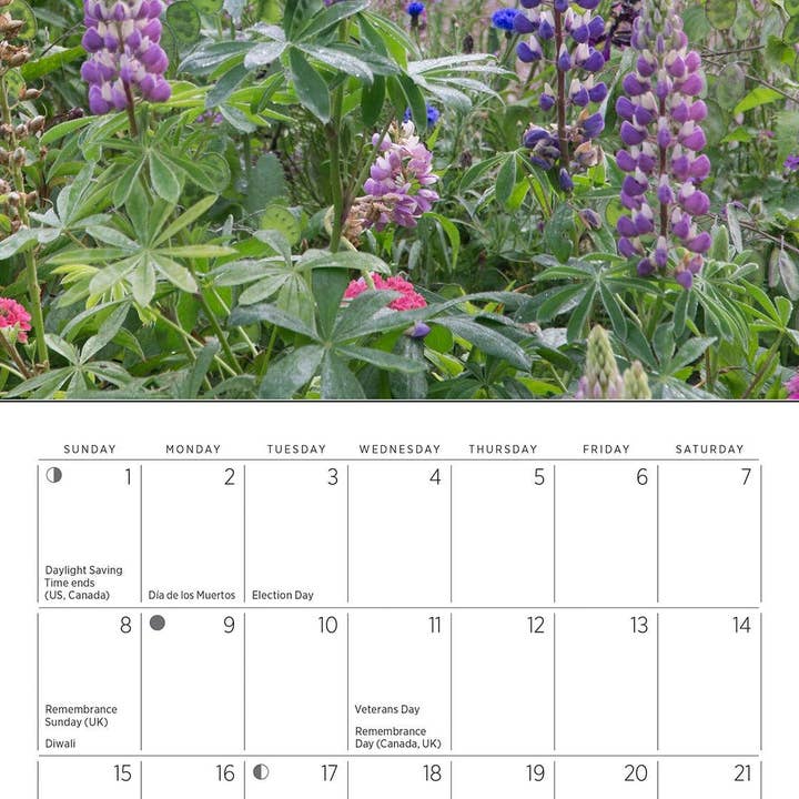 Pomegranate – wholesale Calendar – Monet’s Passion: The Gardens at Giverny 2026 Mini Wall Calendar5