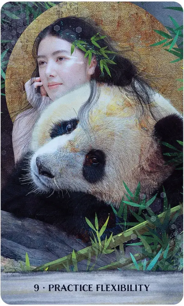 U.S. Games Systems Inc. - Wholesale Tarot Cards - Wild Woman Rising5