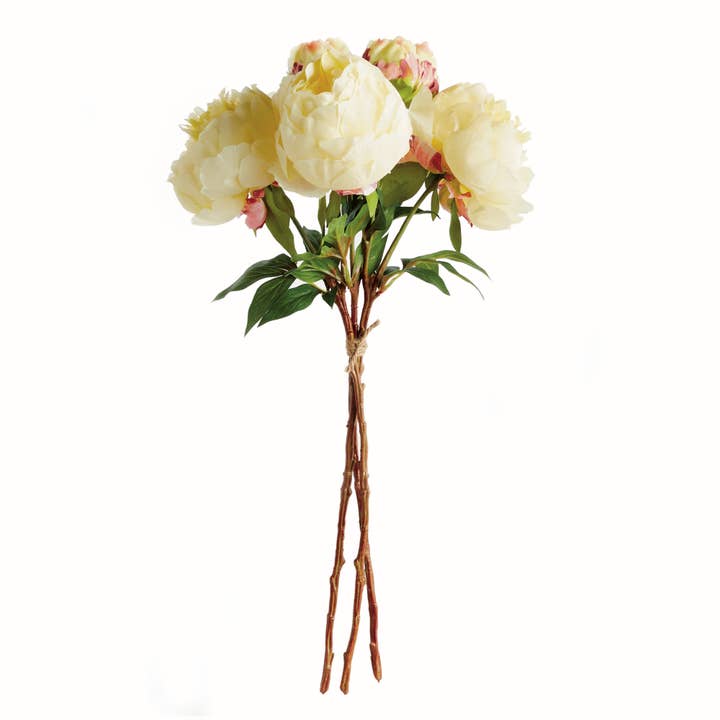Peonies 21", Yellow for wholesale by Napa Home & Garden