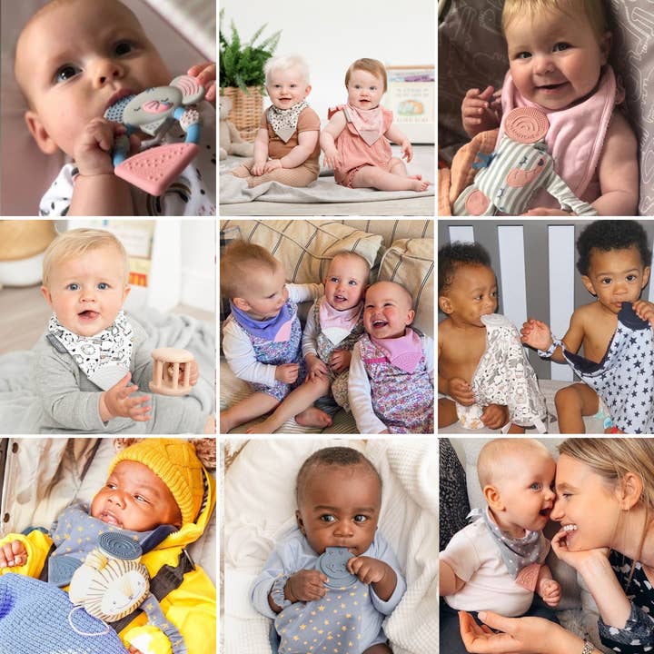 Starter pack bundle for wholesale by Cheeky Chompers UK