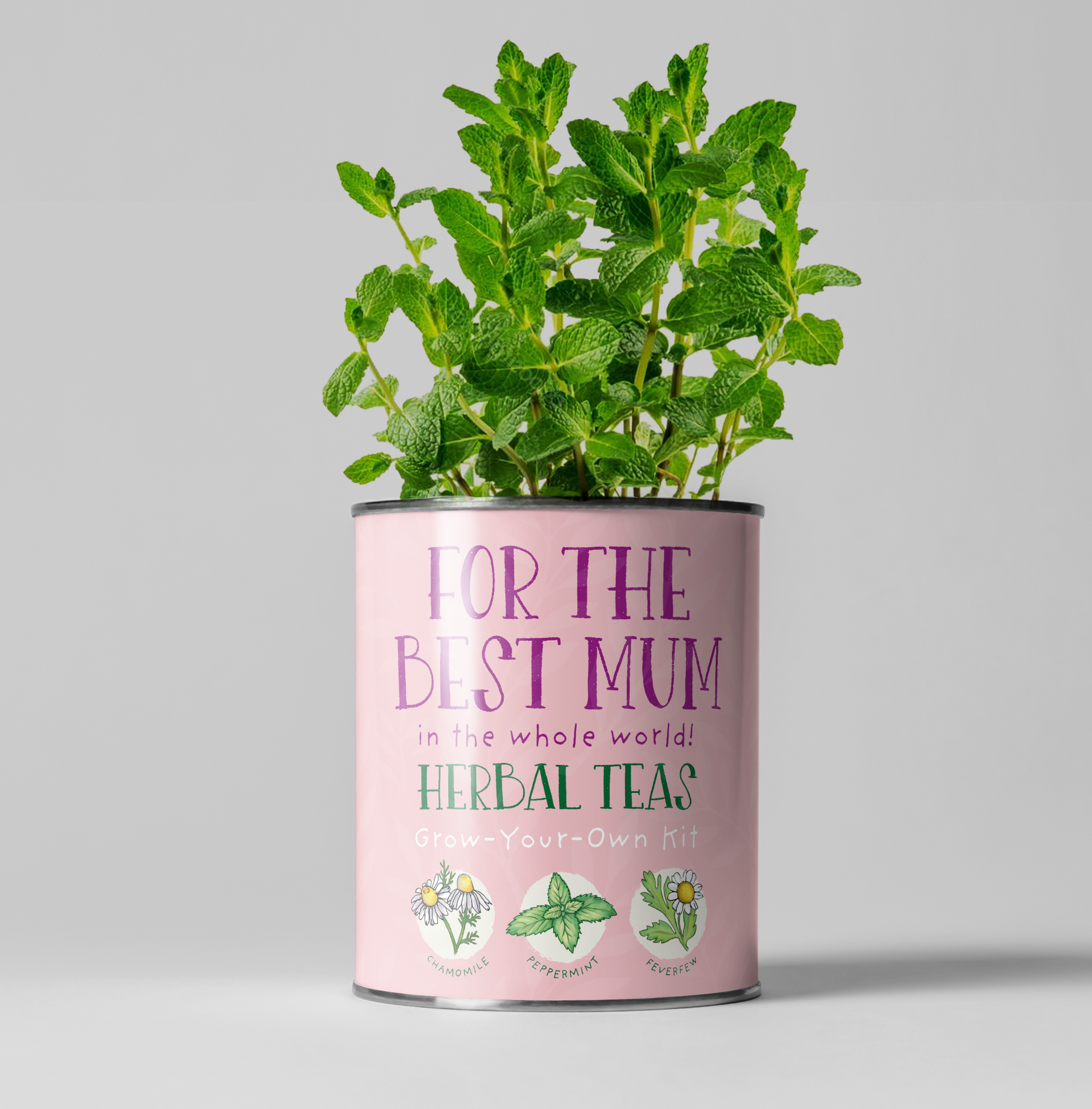 The Plant Gift Co. – wholesale Plant seeds – For the Best Mum. Herbal Tea Grow Your Own Kit1