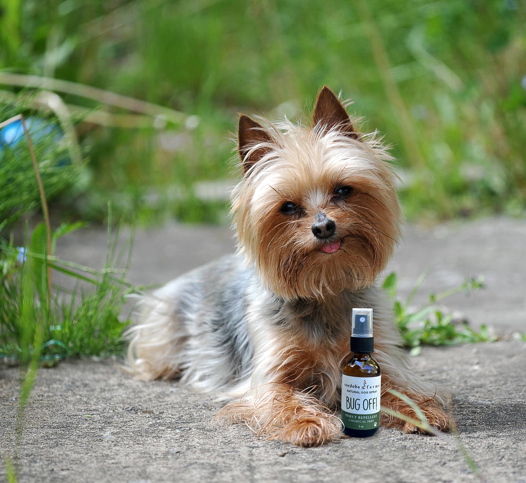 Cordoba Farms - Wholesale Insect Repellent - BUG OFF Insect Repelling Spray1